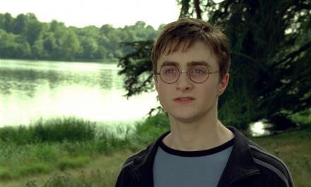 harry14.jpg